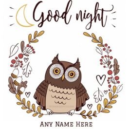 Special Good Night Images 2021 With Name